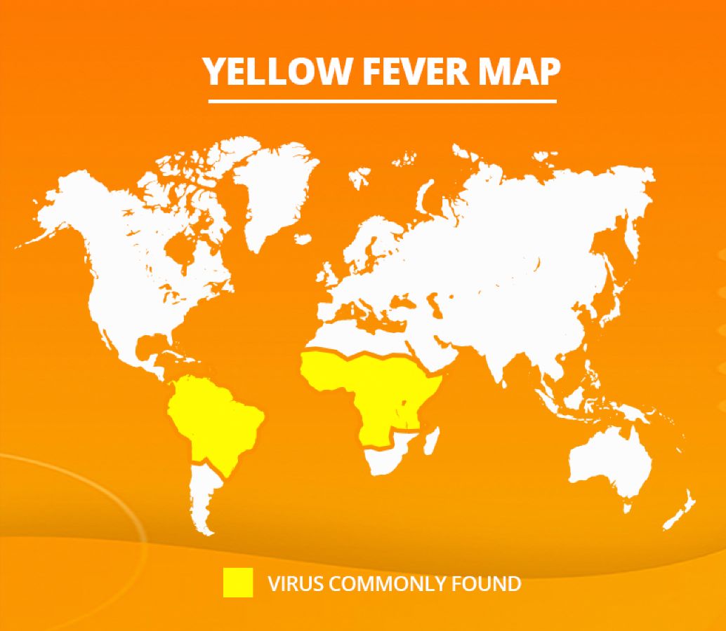 Travel Vaccinations - Yellow Fever - Hayshine Pharmacy Welling