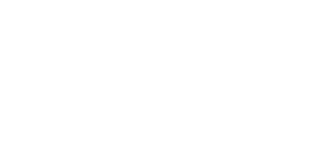 hayshine 2023 white logo