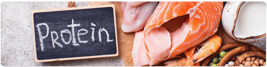 protein intake hayshine weight loss mounjaro meal plan ideas