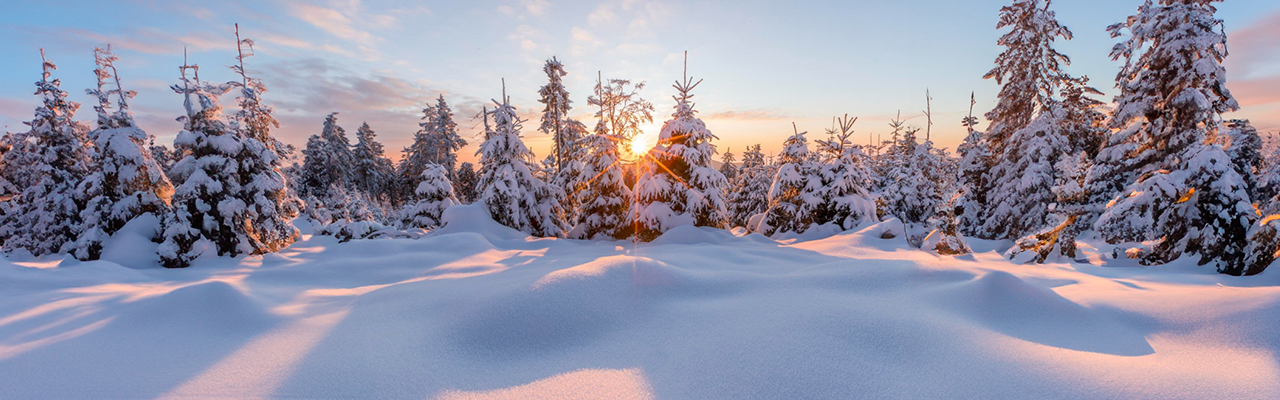 Winter Travel Health Tips for Christmas Breaks Abroad