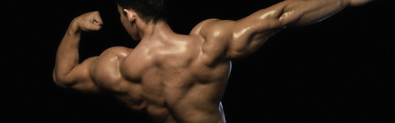Back view of a male bodybuilder flexing muscles against a dark background.